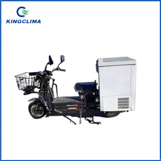 Electric Refrigerated Two-Wheeler Bike for Sale